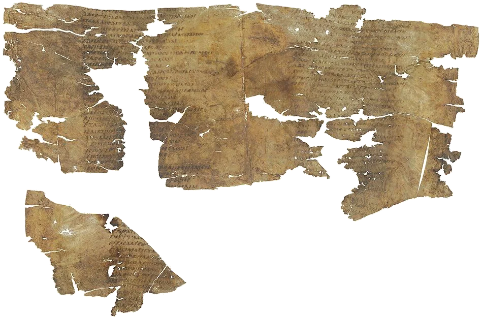 Several torn pieces of parchment with faded lines of Greek text, laid out side by side.