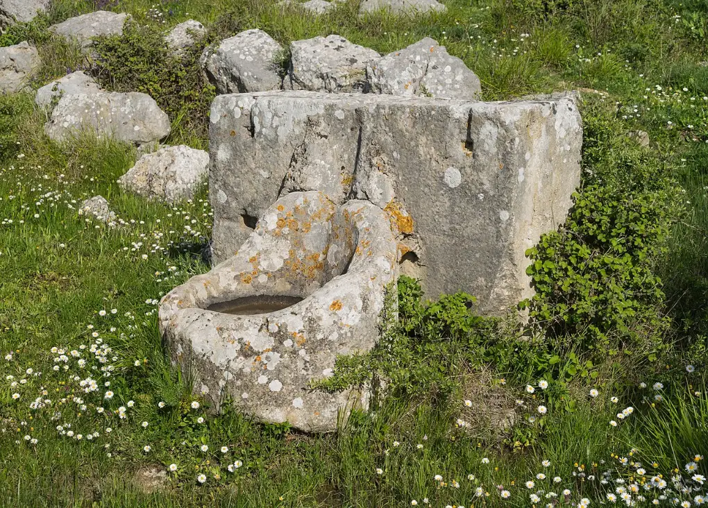 Stone basin of an ancient fountain among grass and flowers on a rocky hillside.