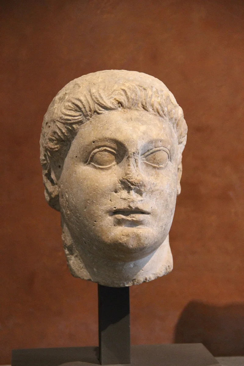 Marble portrait head of a young man with short curly hair, its nose damaged.