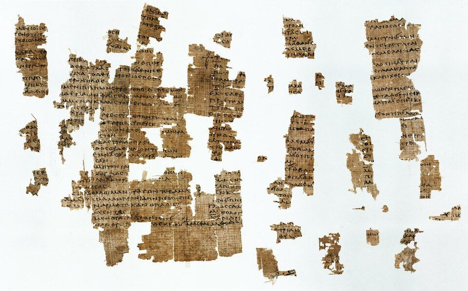 Several brown papyrus fragments with Greek text, mounted side by side.